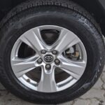 WhatsApp Image 2025-08-20 at 11.26.39