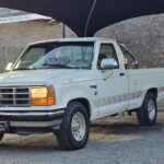 WhatsApp Image 2026-04-28 at 18.30.13 (1)