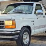 WhatsApp Image 2026-04-28 at 18.30.13