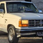 WhatsApp Image 2026-04-28 at 18.30.13 (3)